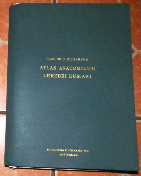 BOOK PROF DR G JELGERSMA ATLAS ANITOMICON CEREBRI HUMANI  168 cuts through the human brain 1AA.JPG