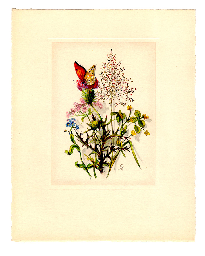 botanical-print-01.jpg