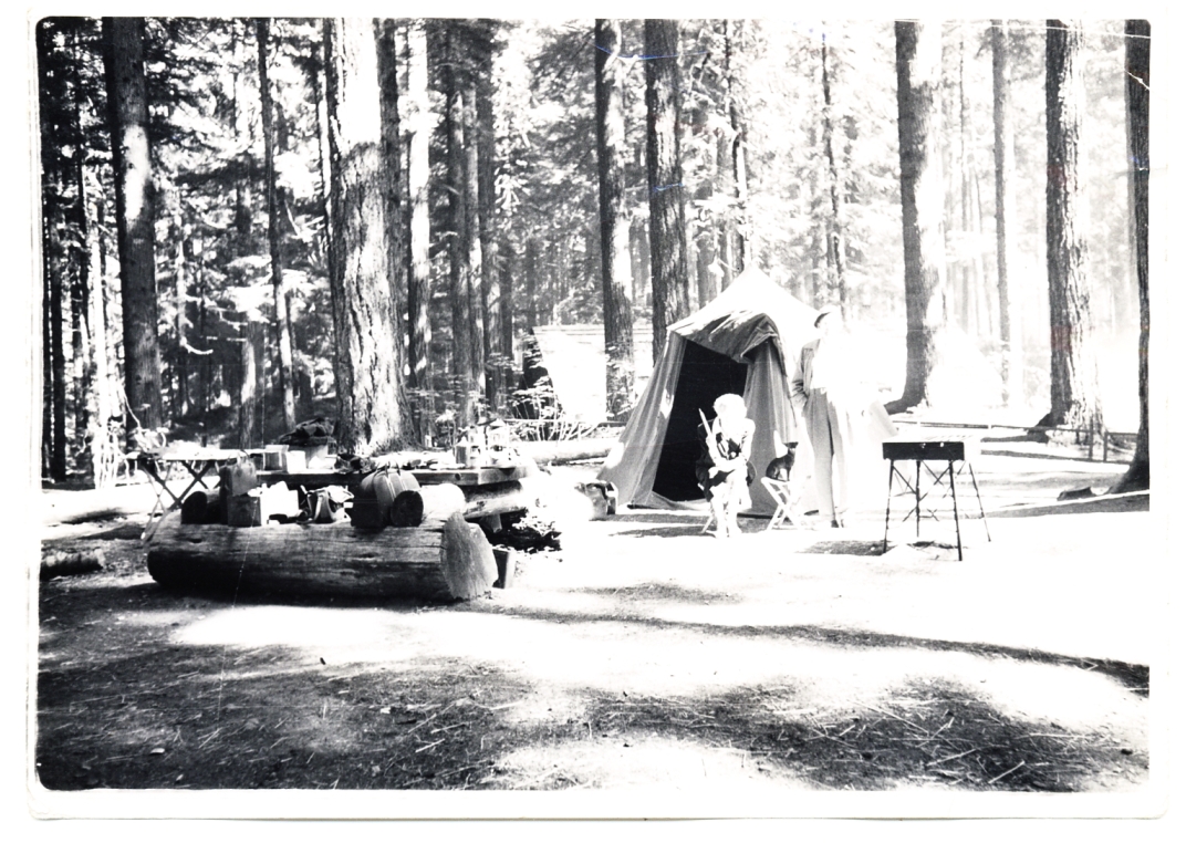 bright sunlight camping smaller.jpg