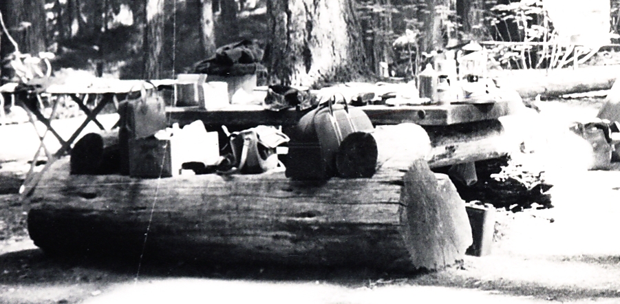 bright sunlight camping table.jpg