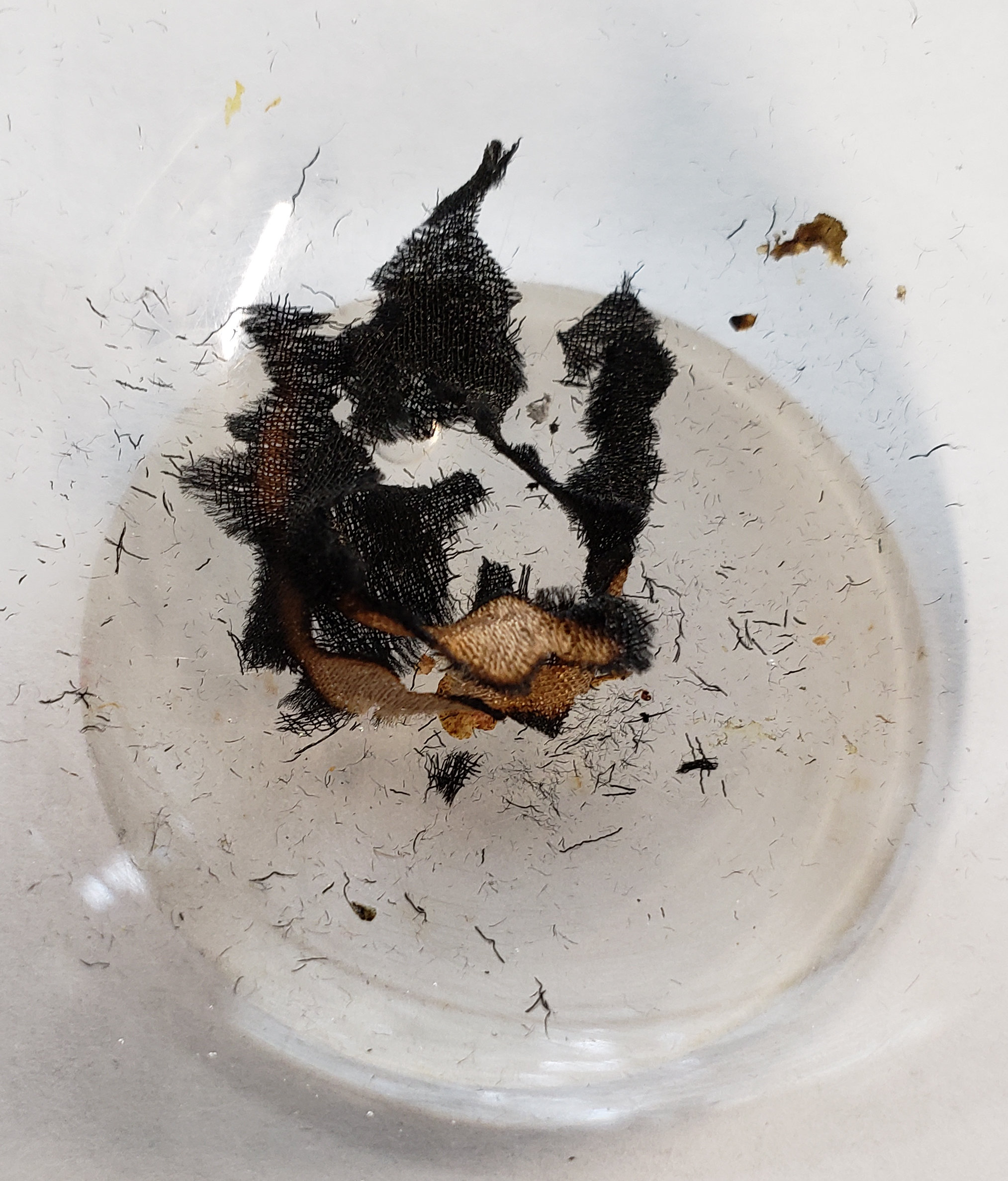 burn-test.jpg
