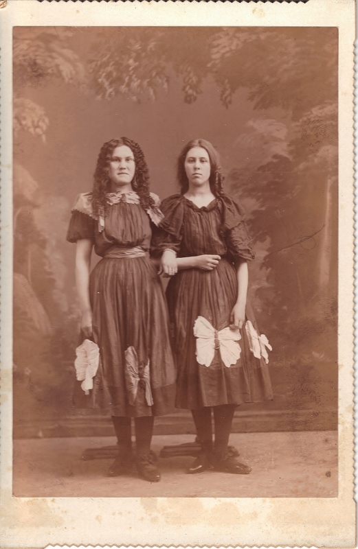 Butterfly dresses 2 (521x800).jpg