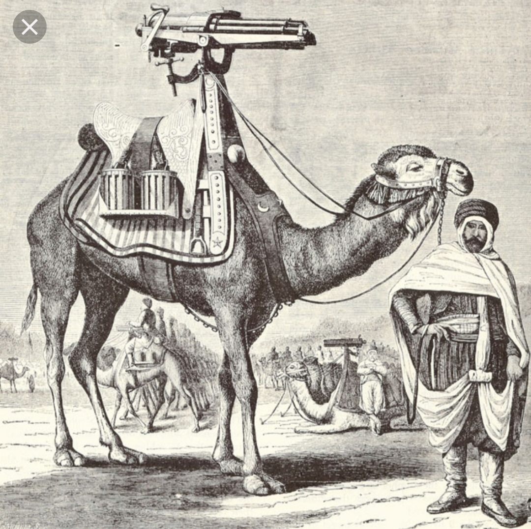 camel gun.jpg