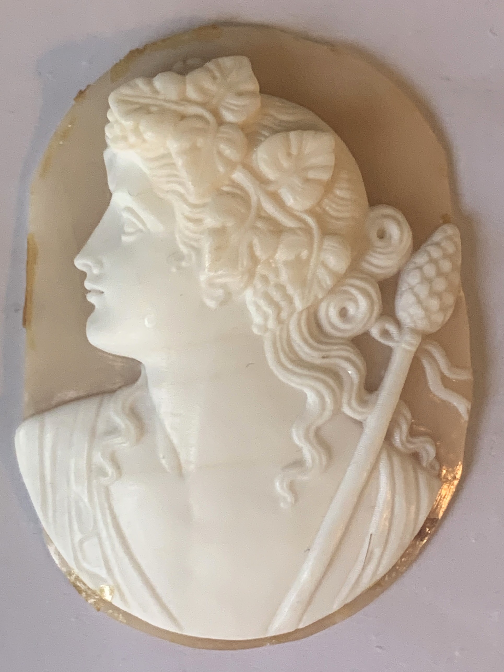 Cameo1.JPG