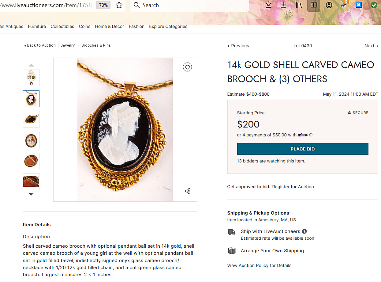 CAMEOS McGinnis Auction.jpg