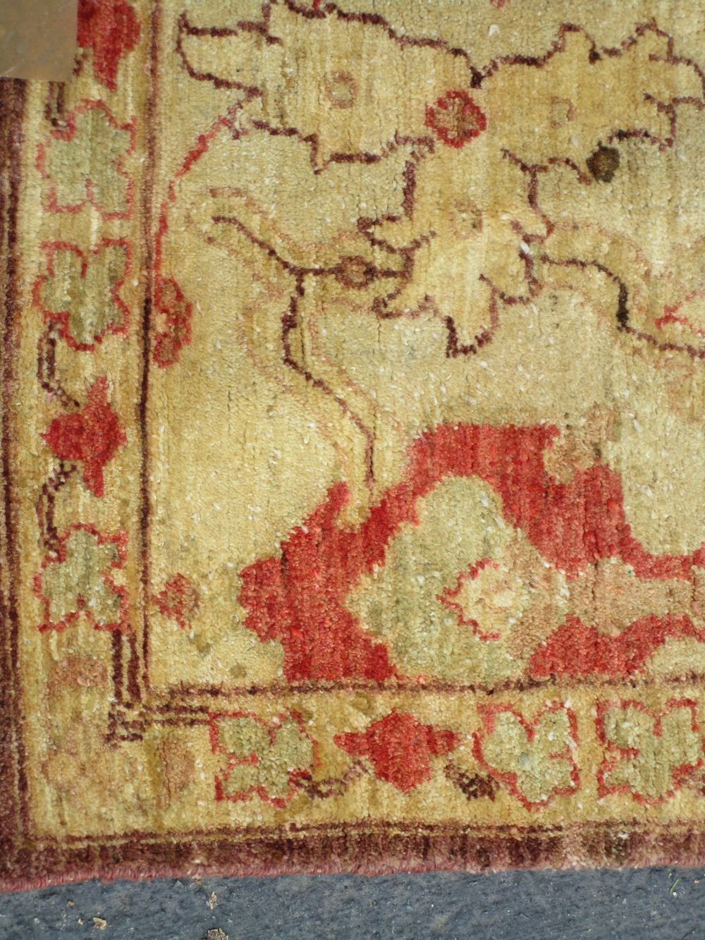 carpet1.jpg