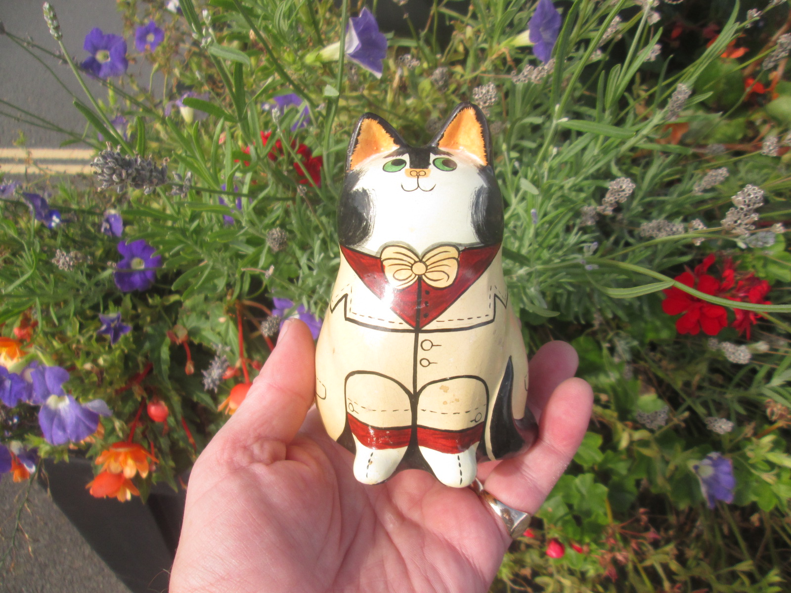 cat1.JPG