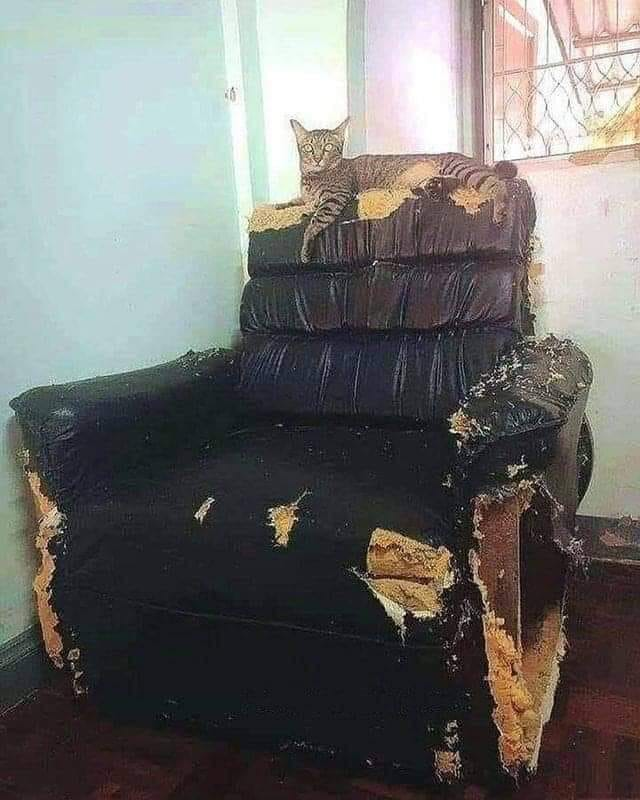 catchair.png