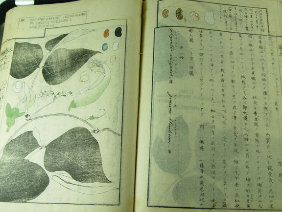 chinese book 6.jpg
