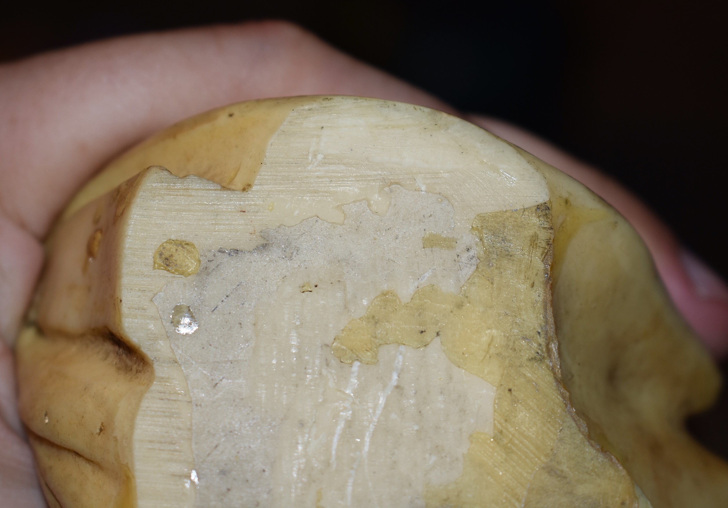 chinese hit (67) (1).JPG