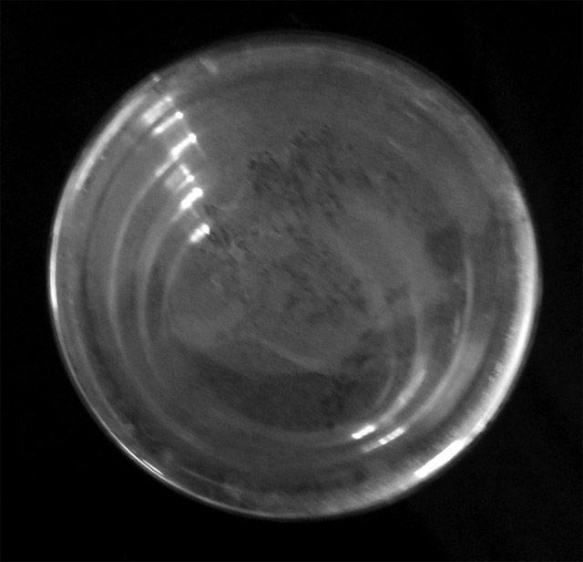 Clear glass vase cylind rings-bottom 640.jpg
