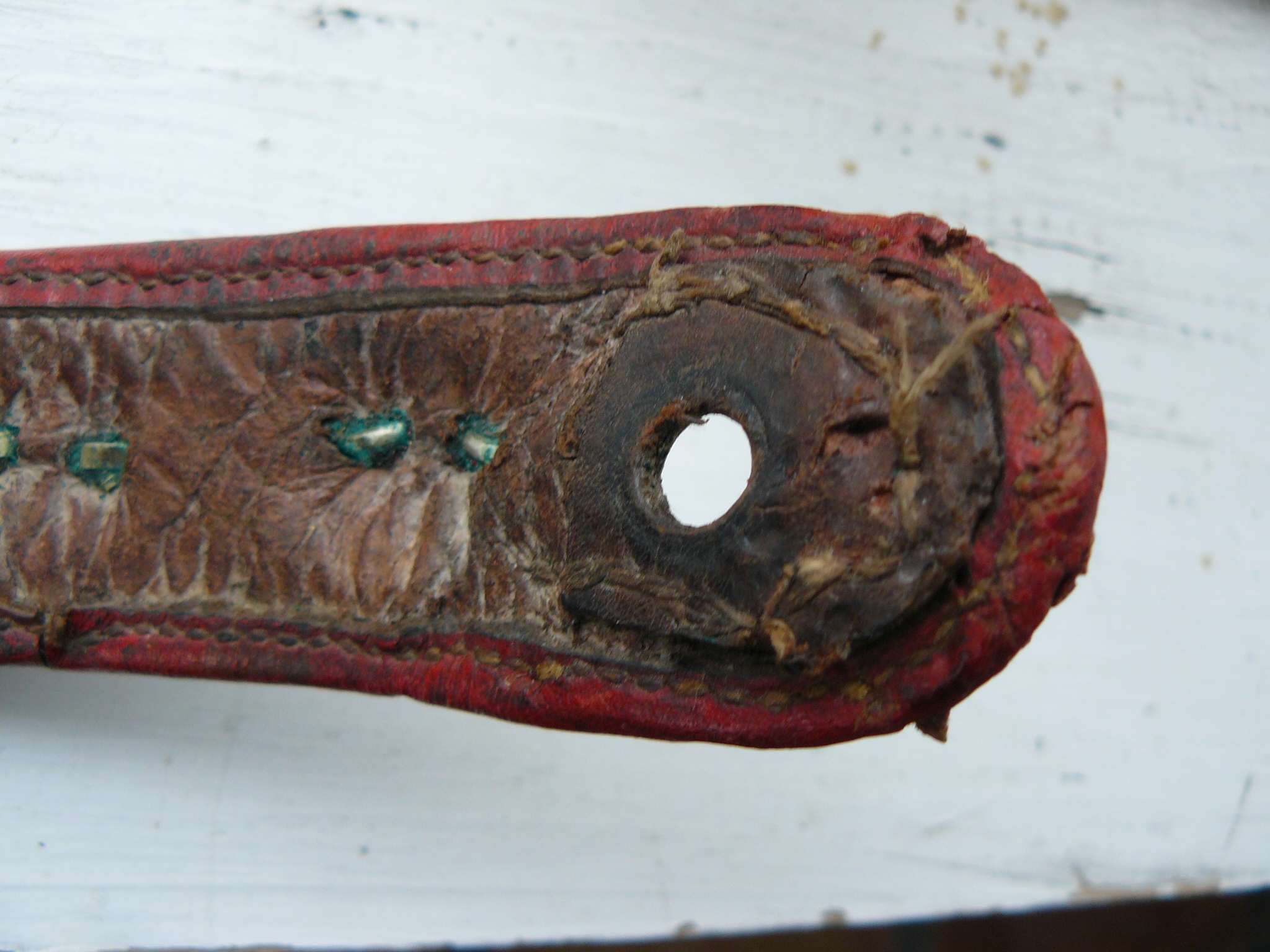 collar3.jpg