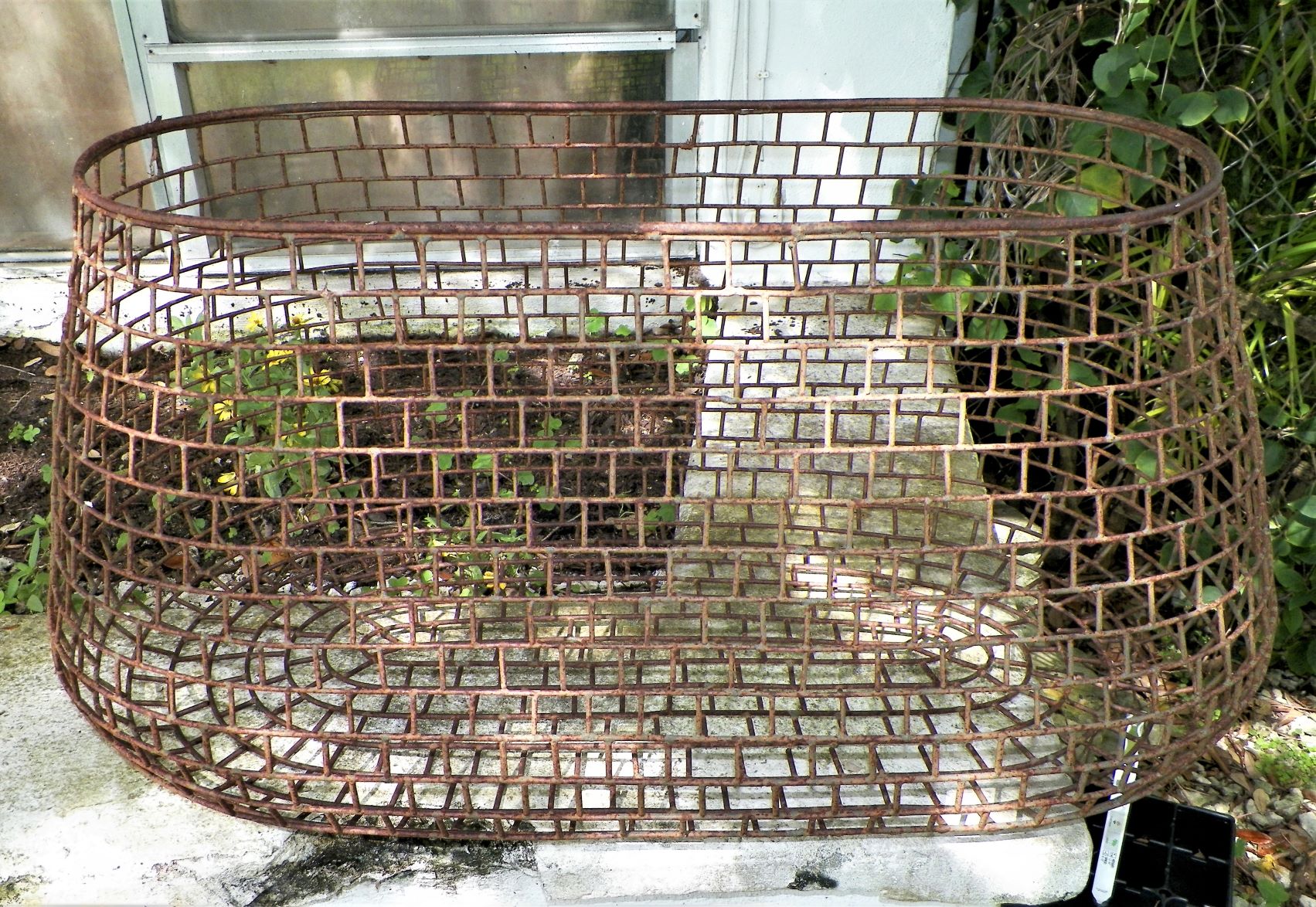 COLLECTIBLE CAGE FISHING CONTAINER 3AAZZZ.jpg