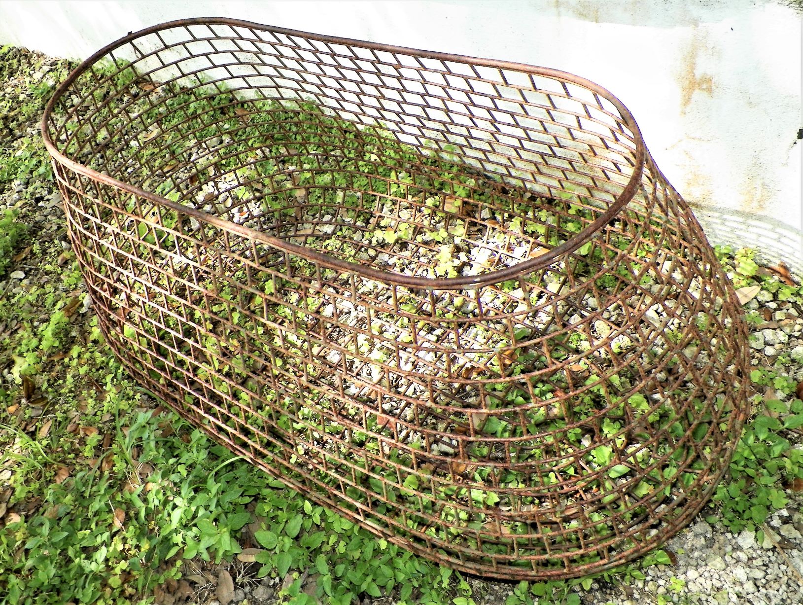COLLECTIBLE CAGE FISHING CONTAINER 4AAZZZZ.jpg