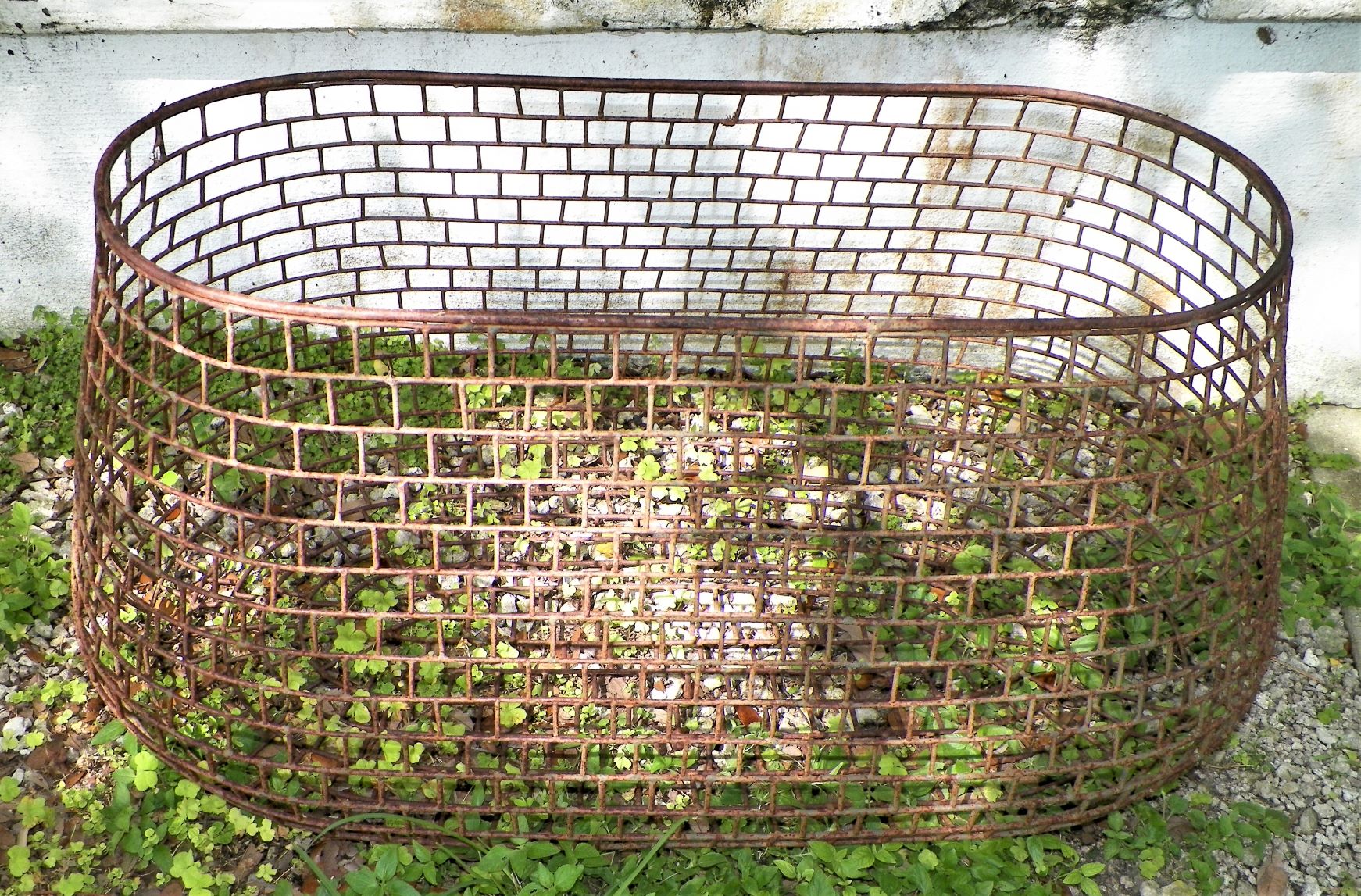 COLLECTIBLE CAGE FISHING CONTAINER 4ABBAZZVX.jpg