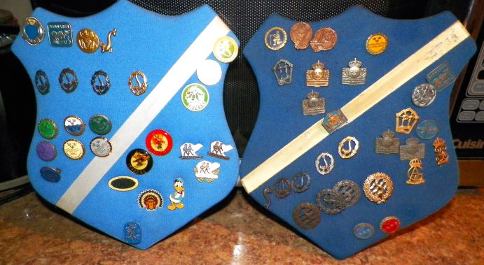 COLLECTIBLE PINS OLYMPIC SWEDEN 1AA.JPG