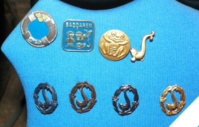 COLLECTIBLE PINS OLYMPIC SWEDEN 2AA.JPG