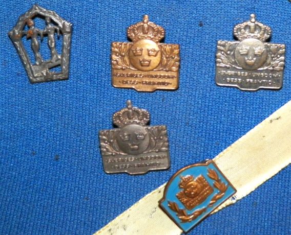 COLLECTIBLE PINS OLYMPIC SWEDEN 7AAA.JPG