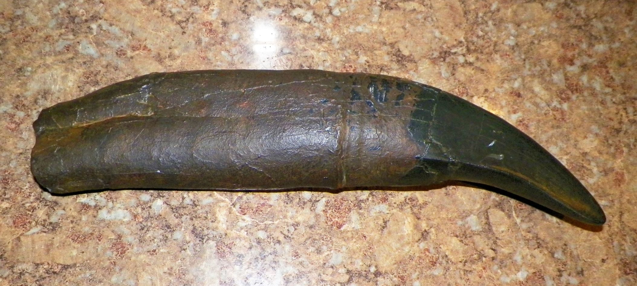 COLLECTIBLE PREHISTORIC STONE CLAW TALON 1AA.JPG