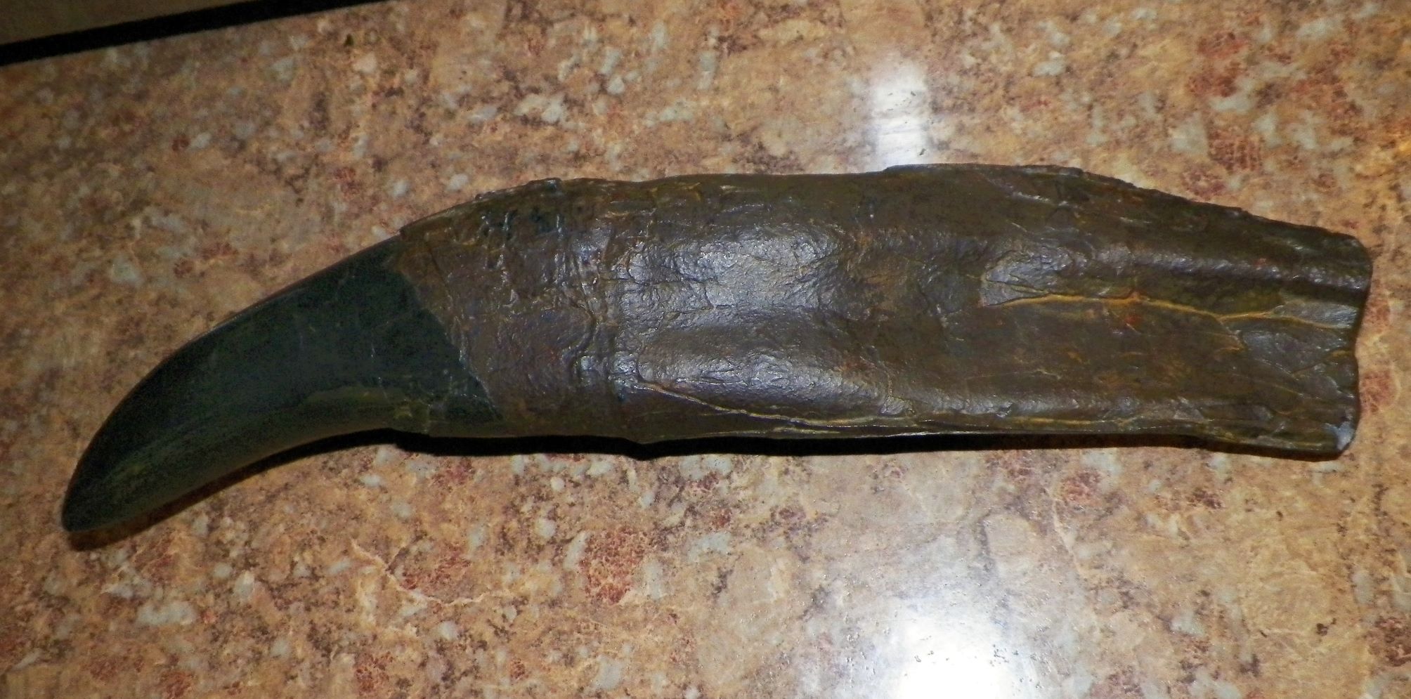 COLLECTIBLE PREHISTORIC STONE CLAW TALON 2AA.JPG