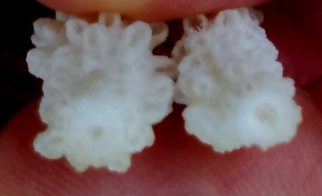 Coral White brass earrigns 2 (640x389).jpg