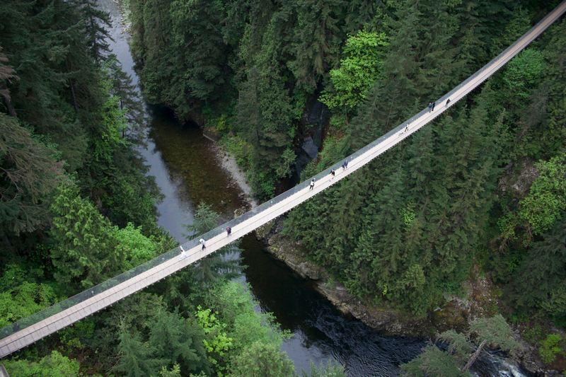 Courtesy_of_Capilano_Suspension_Bridgebridge-aerial-walk-people-water-trees-forest.jpg