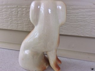crackle back of dog.JPG