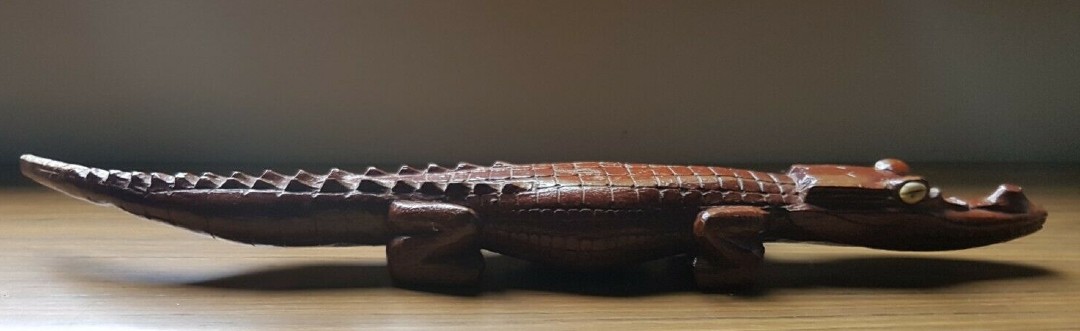 crocodile-papuanewguinea-4 (1).jpg