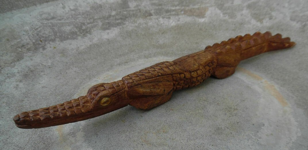 crocodile-papuanewguinea-7 (1).jpg