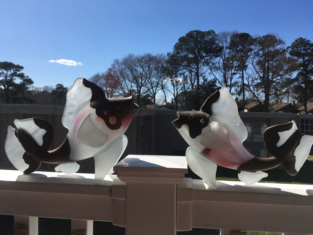 D0C0E57F-F078-4EE6-8416-EA5B87139DF4.jpeg