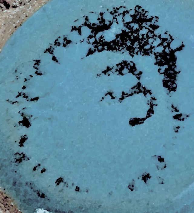 D59286EB-5941-49C3-9F67-47C9E0953C35.jpeg