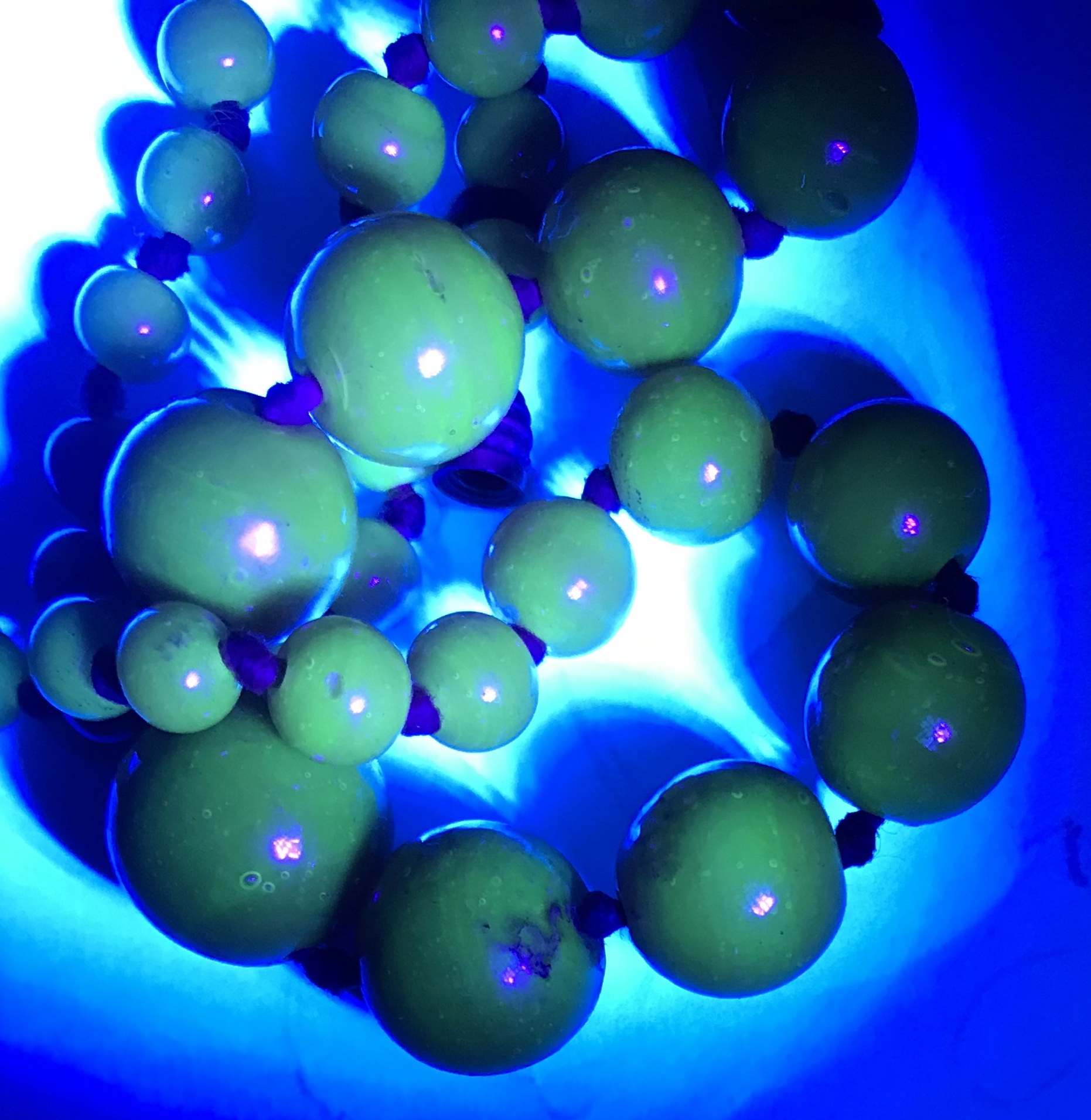 D5CA5739-89AD-4BB2-9BF0-AB305B7C7CB6.jpeg