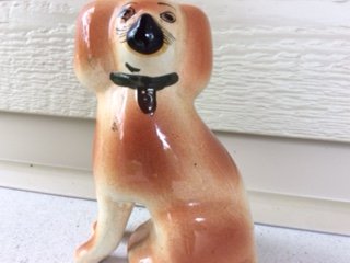 daylight front of dog.JPG