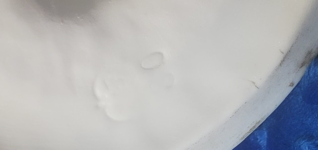 DC3853A1-239A-48C3-84E2-FC687FCCA414.jpeg