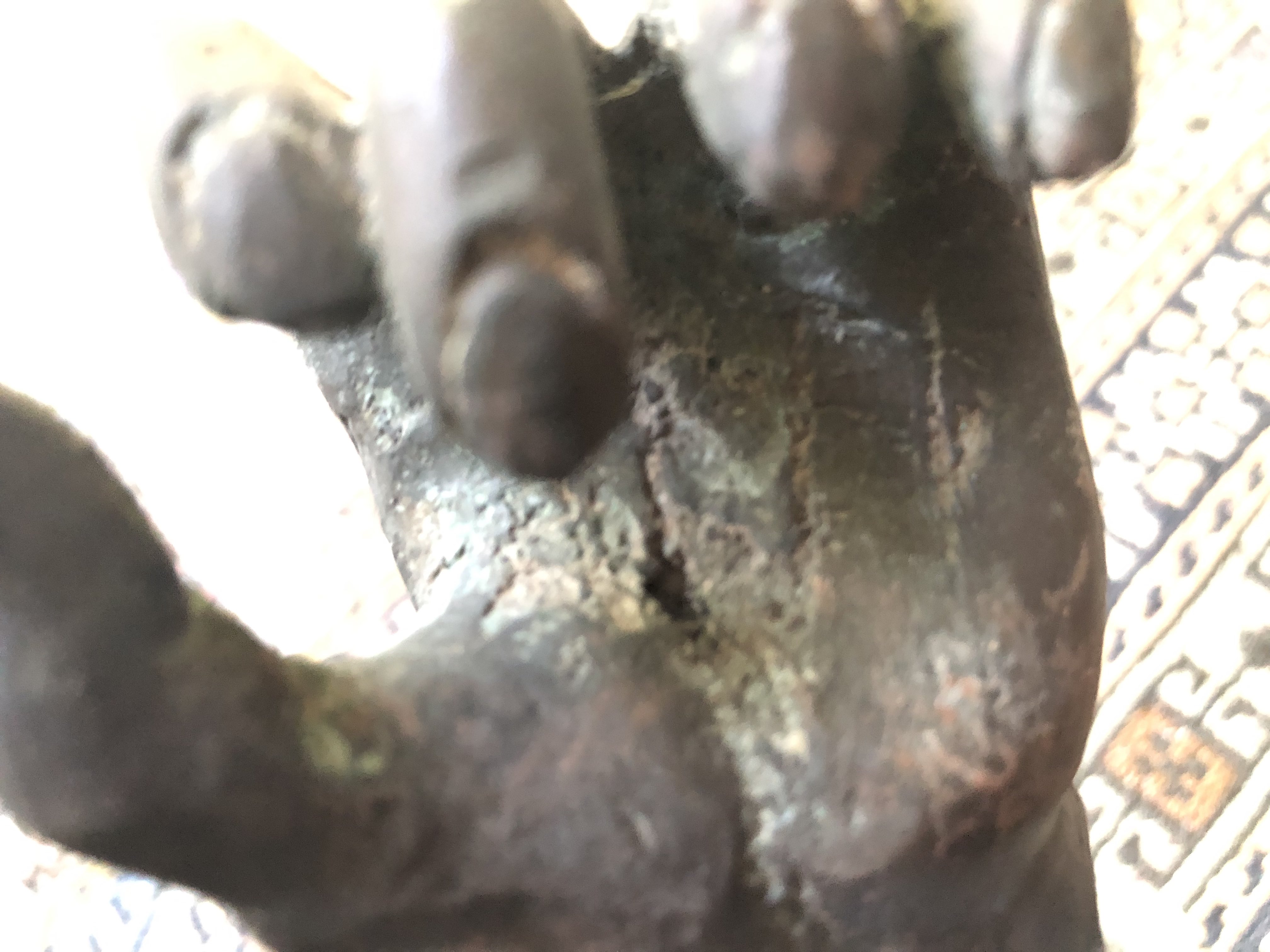 Detail Hand.jpg