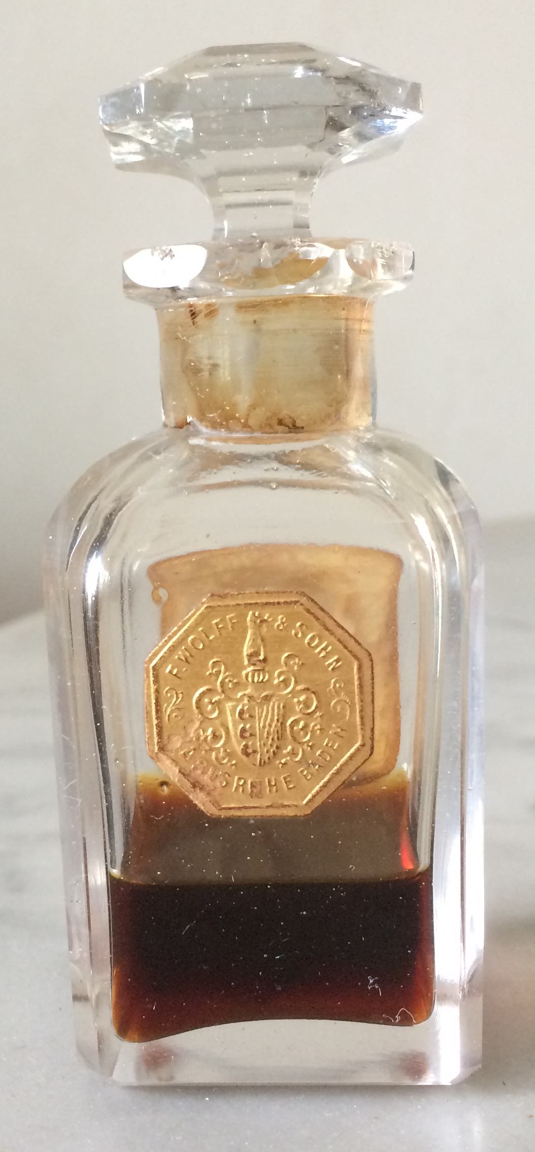 DIVINIA back copy.jpg