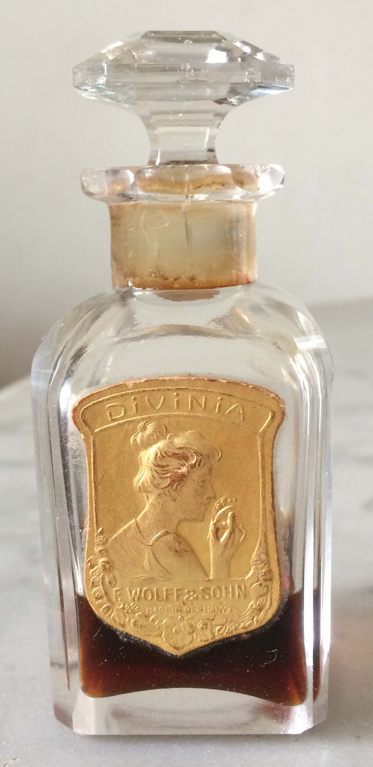 DIVINIA front copy.jpg