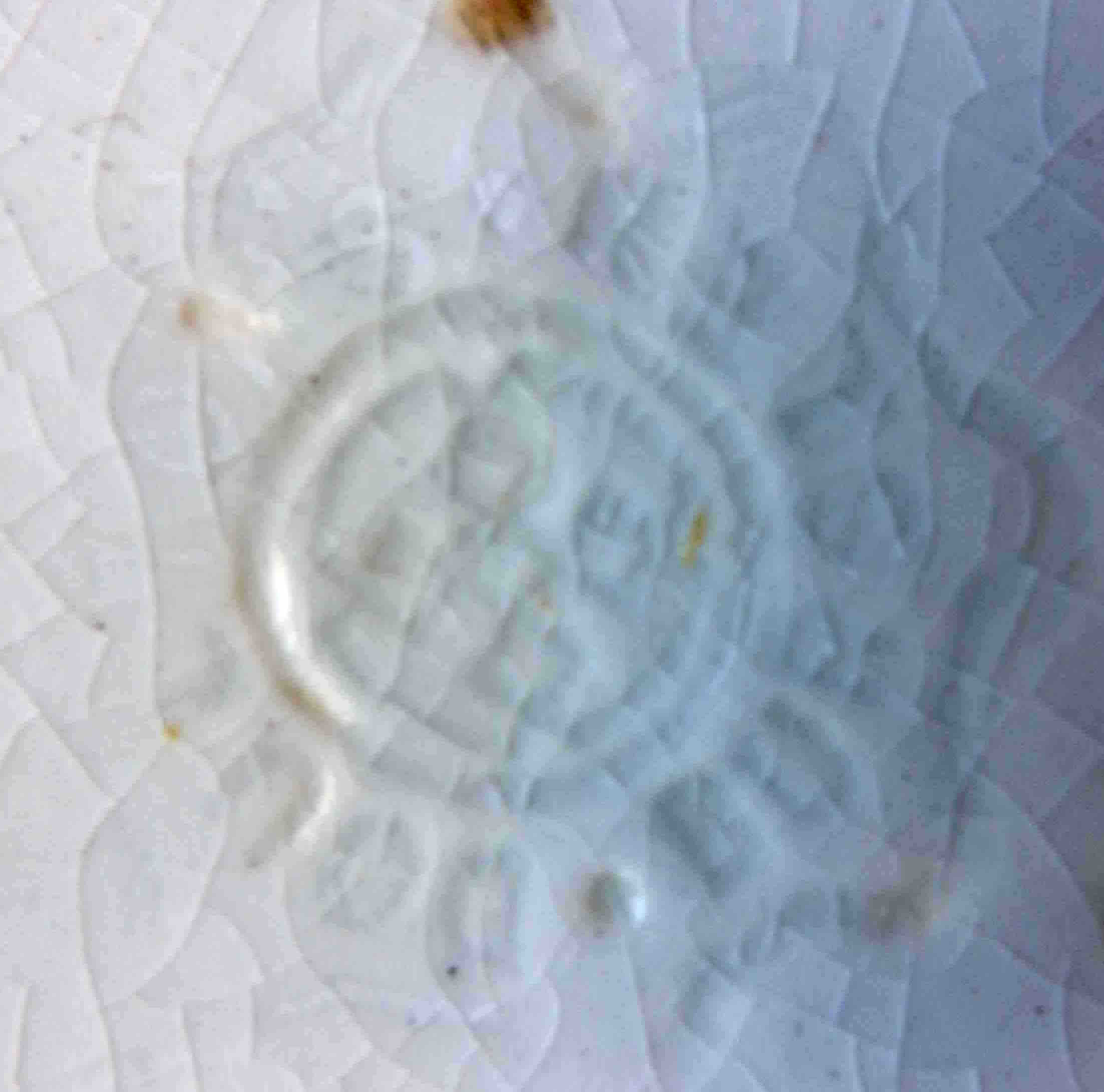 doulton's burslem mark.jpg