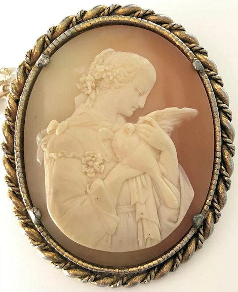 DoveArtificial 5A adj.jpg