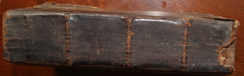 DSC06339 (800x250).jpg