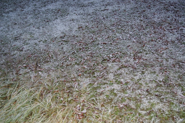 DSC06436 (640x428).jpg