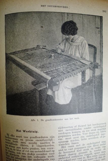 DSC08099 (427x640).jpg