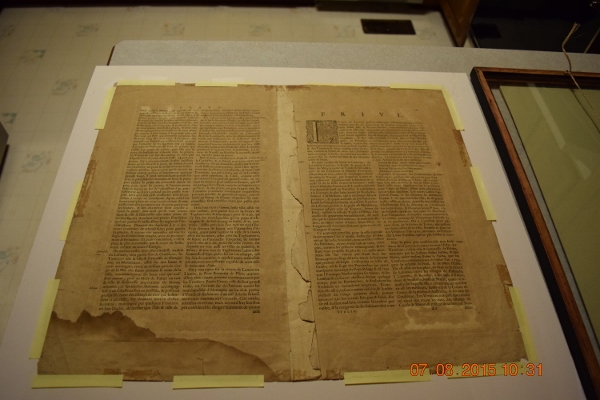 DSC_0206 (600x400).jpg