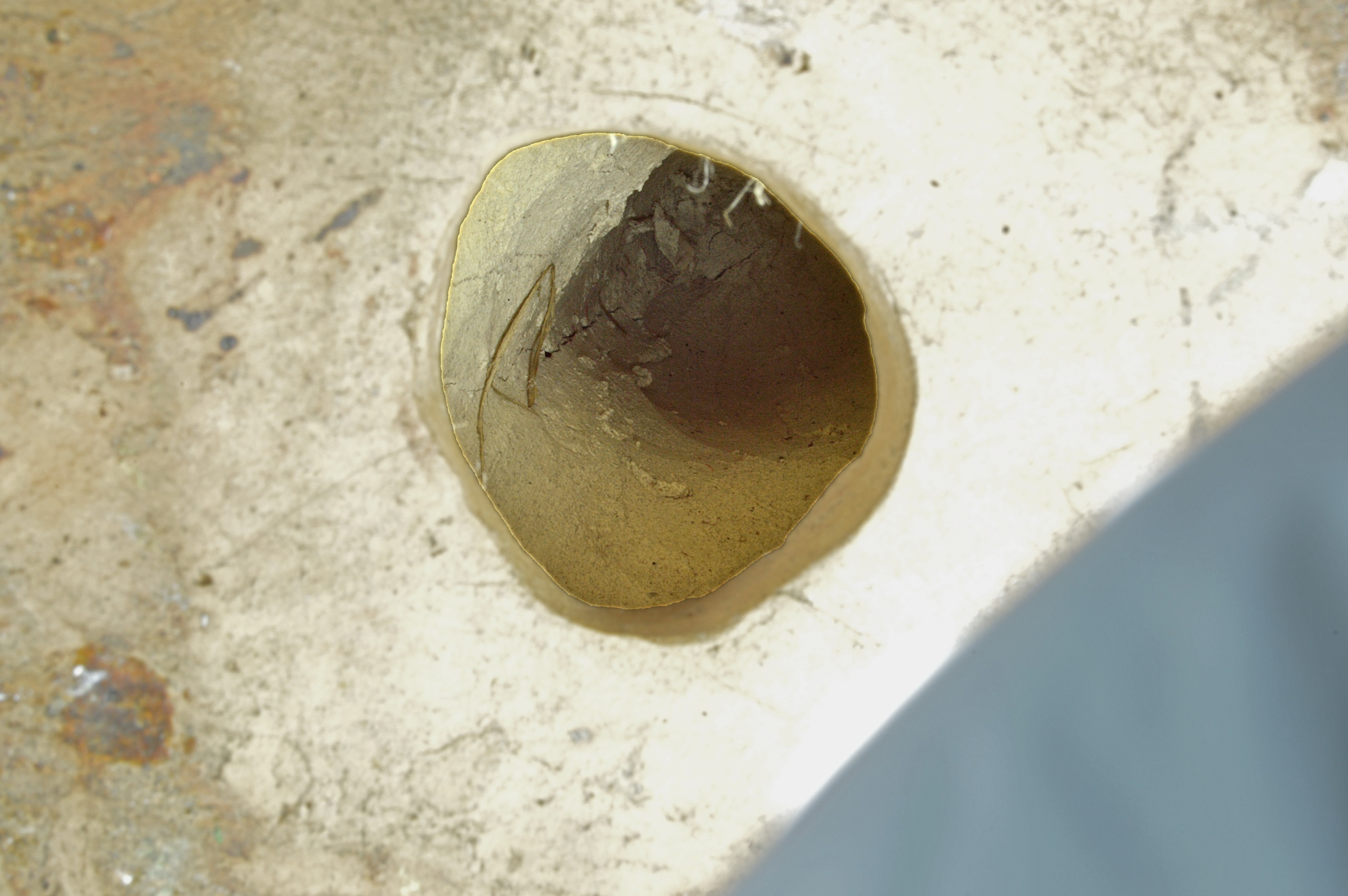 DSC_0321_1 - Copy.jpg