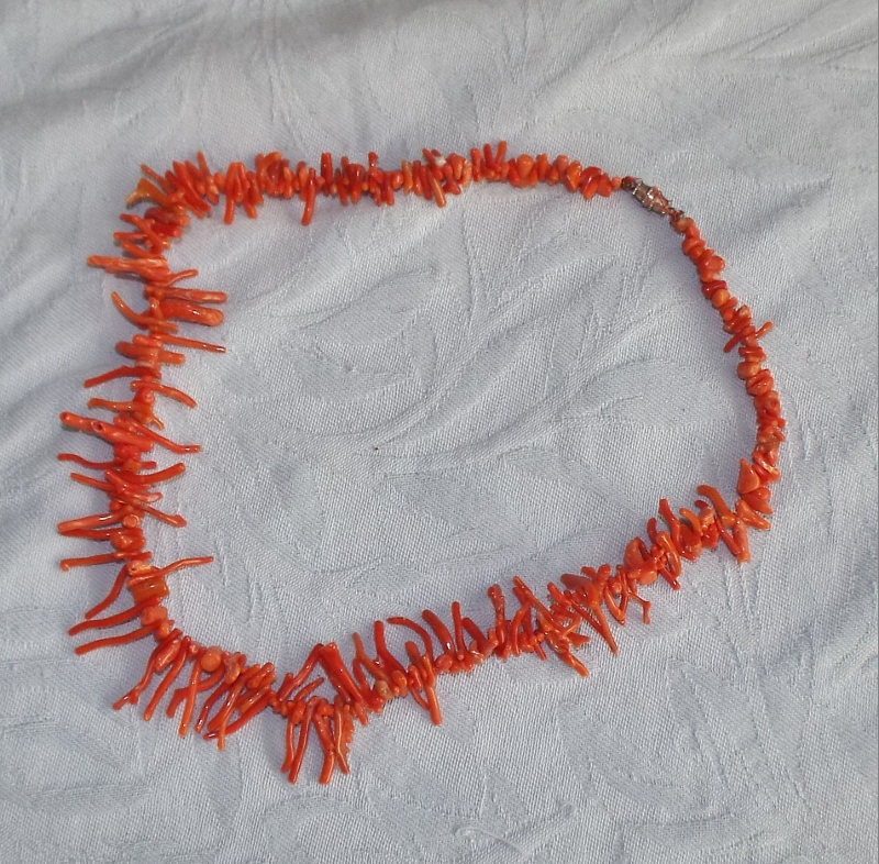 DSCF0419 (800x786).jpg