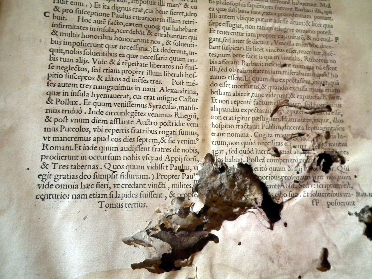 DSCF1083.JPG