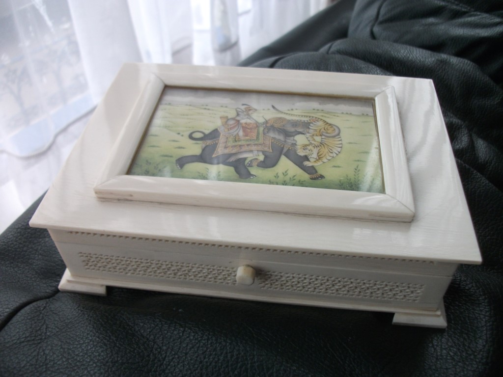 DSCF2244 (Medium).JPG