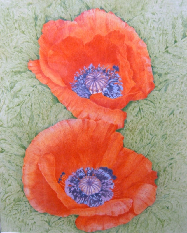 DSCF6018 (641x800).jpg