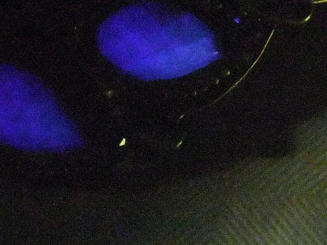 DSCF6130 lres.jpg