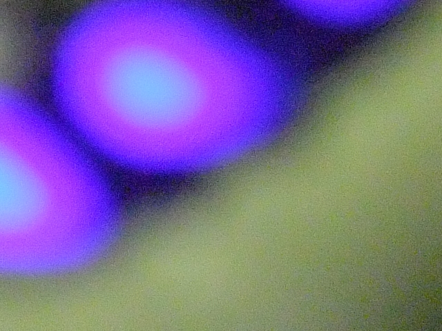 DSCF6132 lres.jpg